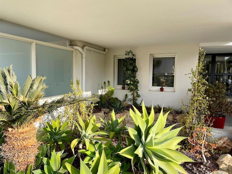 21 - Tres Agreable Rdc Avec Terrasse Et Parking Appartement Bandol Buitenkant foto