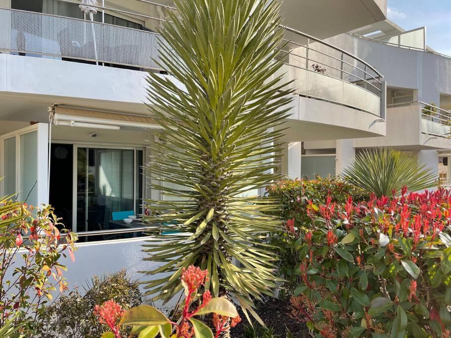 21 - Tres Agreable Rdc Avec Terrasse Et Parking Appartement Bandol Buitenkant foto