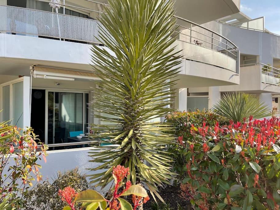 21 - Tres Agreable Rdc Avec Terrasse Et Parking Appartement Bandol Buitenkant foto