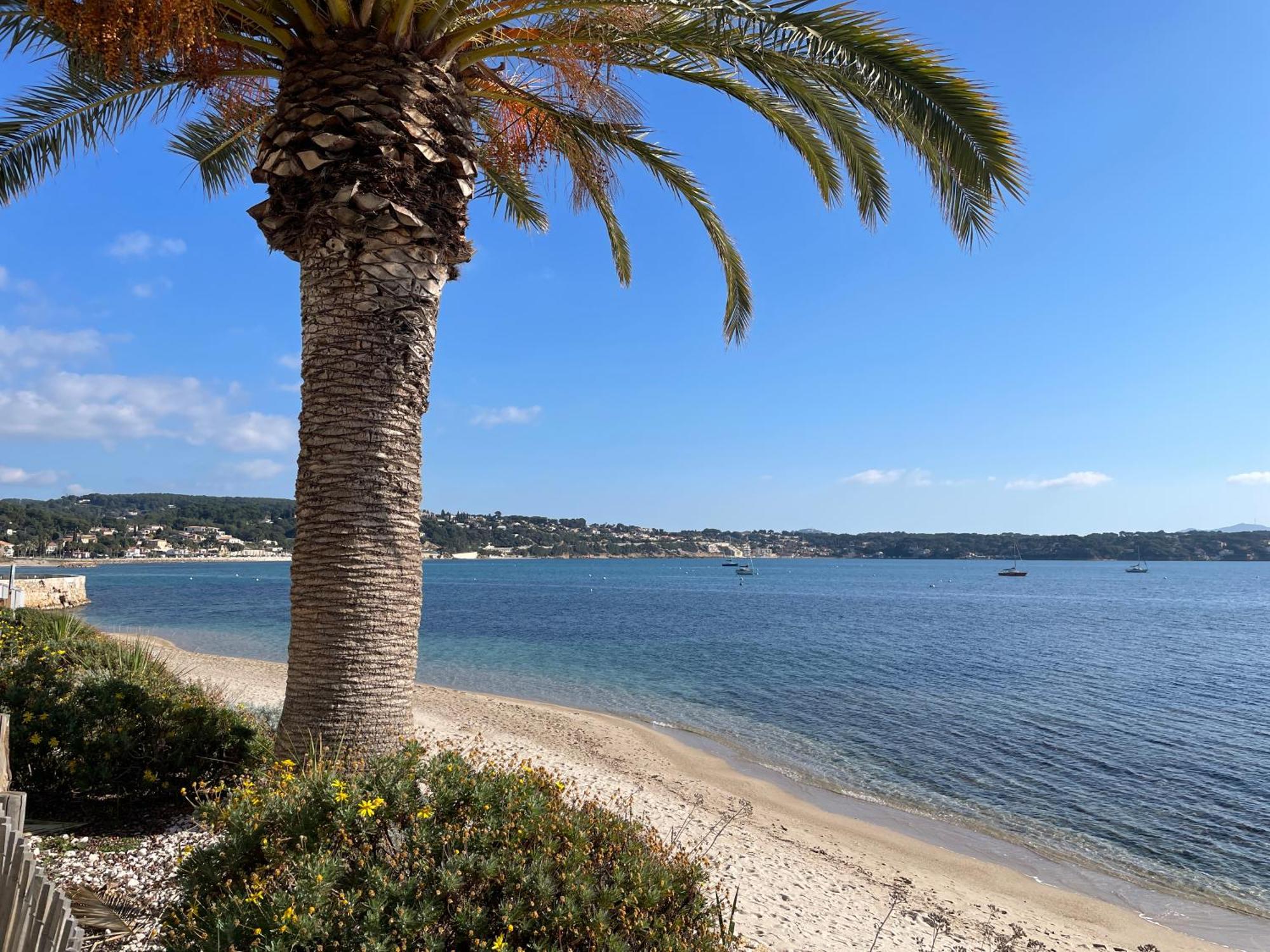 21 - Tres Agreable Rdc Avec Terrasse Et Parking Appartement Bandol Buitenkant foto